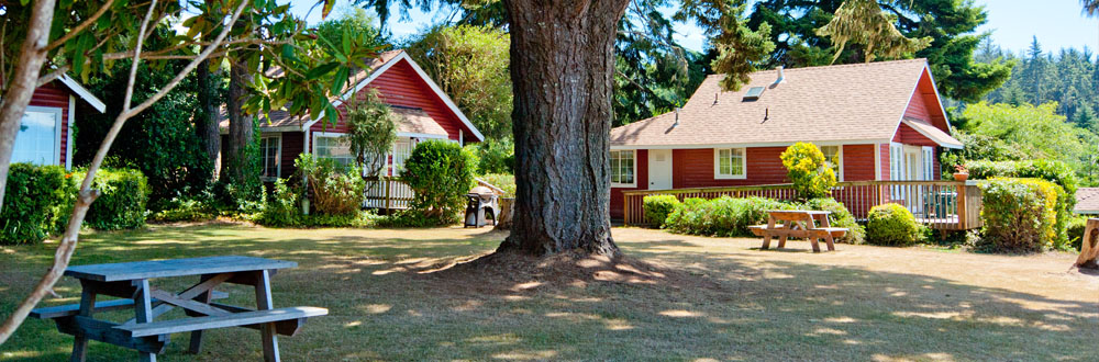 Exterior photo of three cottages with a large tree, a lawn and two picnic tables