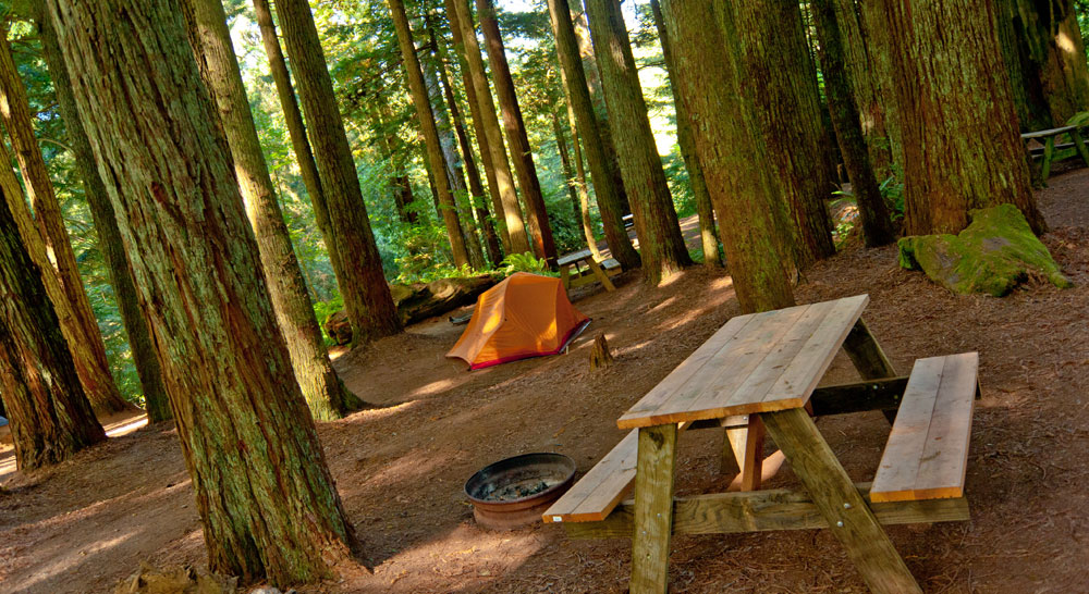 View Crest Lodge - Trinidad, California